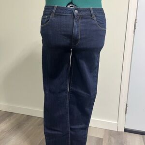 American Eagle Outfitters Navy Skinny Jeans